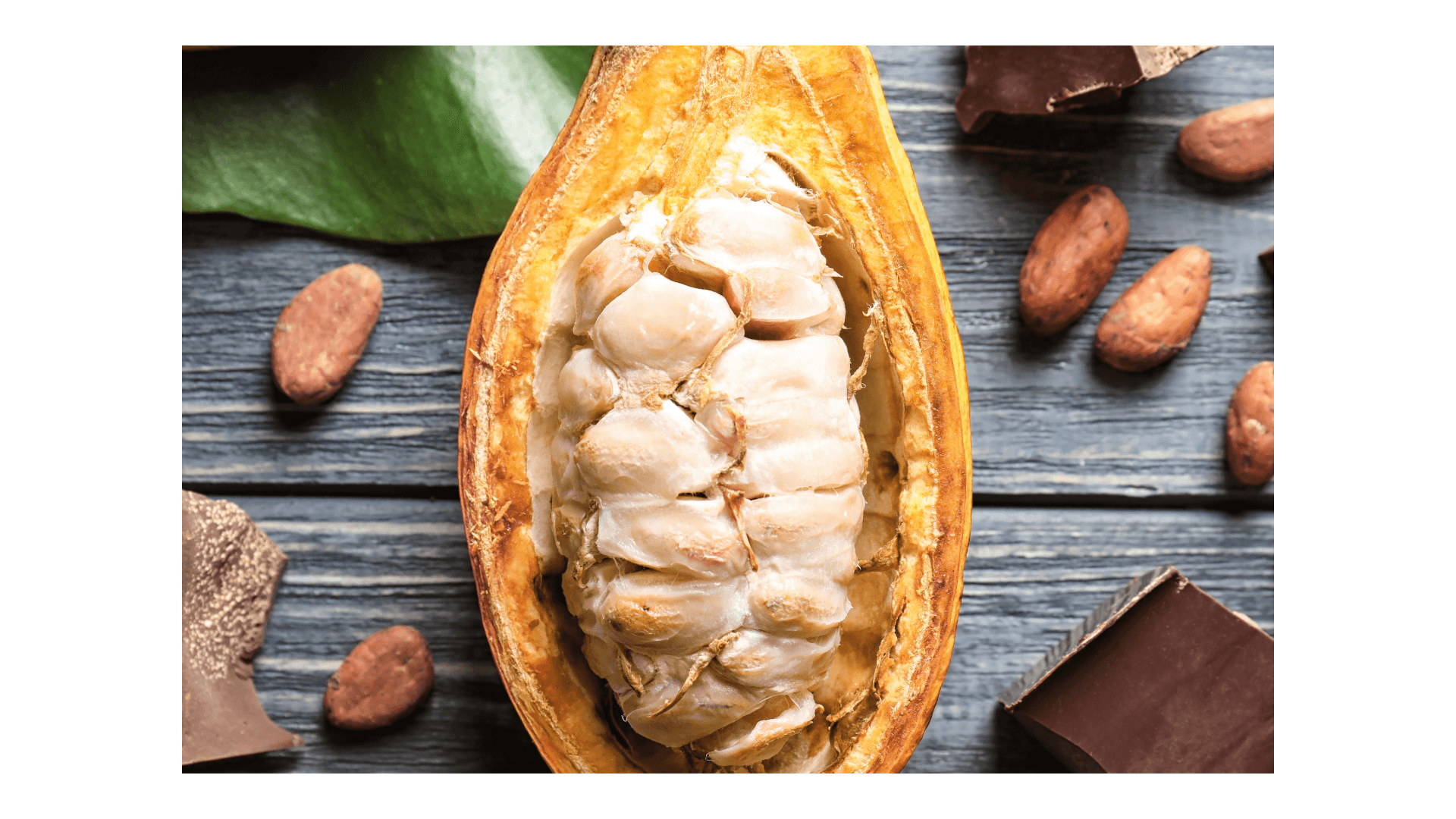 Cacao abierto mostrando la pepa cruda con mucílago