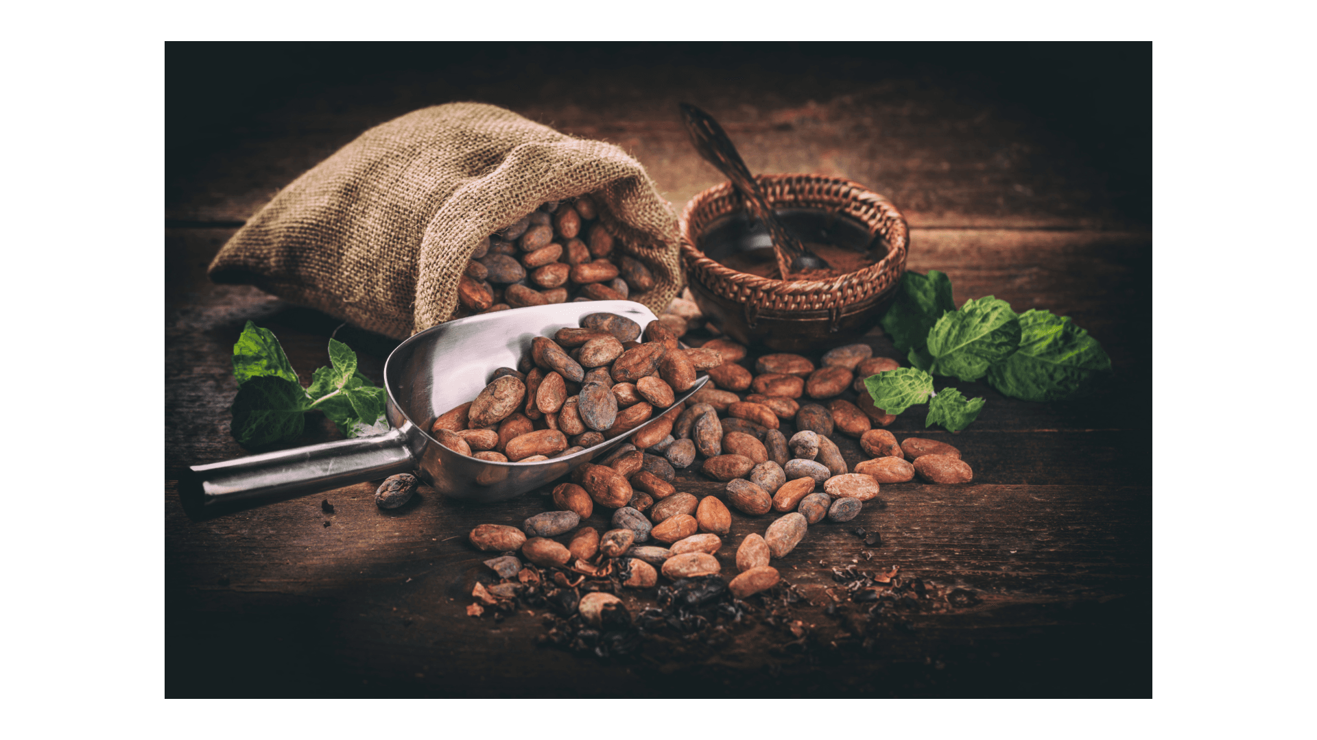 Cacao seco al sol en paseras de Finca La Rosita