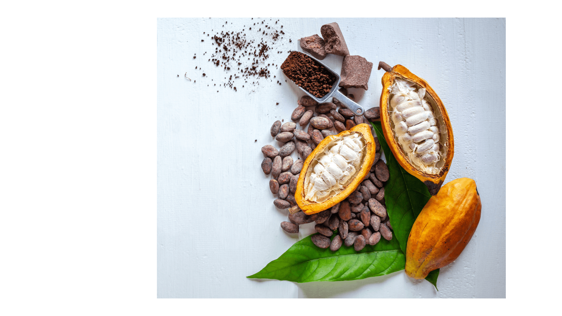 Alimentación Saludable y Consciente